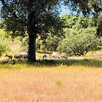 Monte Vale Mosteiro Agroturismo Rosmaninhal (Santarem)