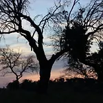 Monte Vale Mosteiro Rosmaninhal (Santarem)