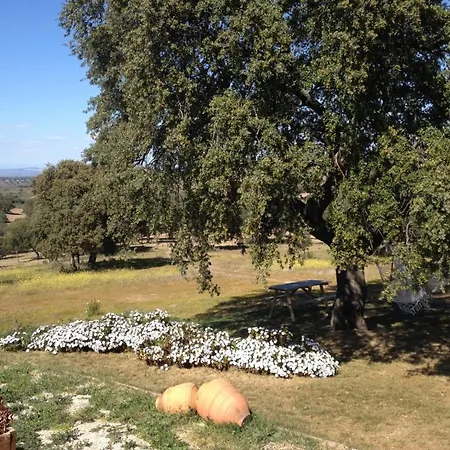 Séjour à la ferme Monte Vale Mosteiro