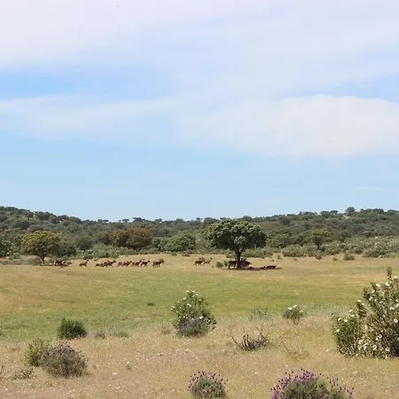 Monte Vale Mosteiro Séjour à la ferme Rosmaninhal (Santarem)