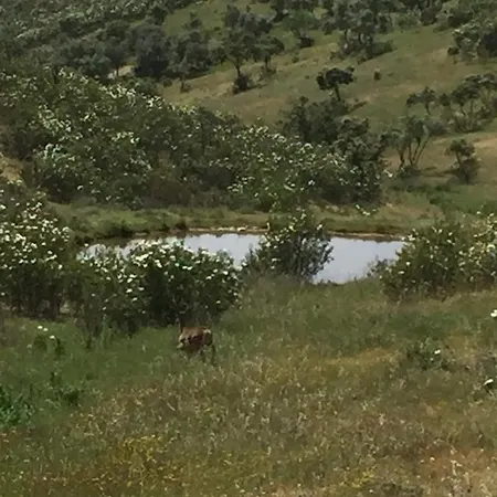 Monte Vale Mosteiro Séjour à la ferme Rosmaninhal (Santarem)