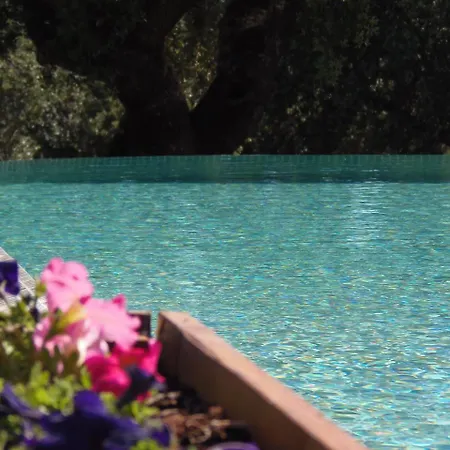 Monte Vale Mosteiro *