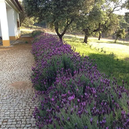 Séjour à la ferme Monte Vale Mosteiro *