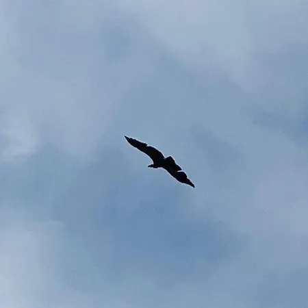 Séjour à la ferme Monte Vale Mosteiro Rosmaninhal (Santarem)