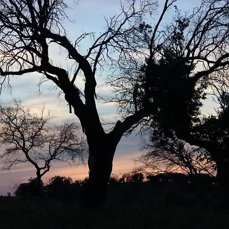 Monte Vale Mosteiro Rosmaninhal (Santarem)