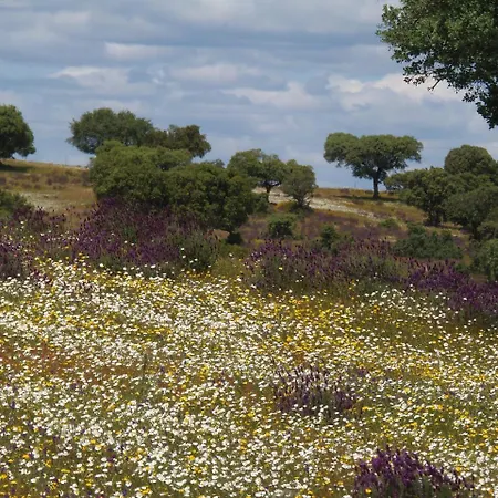 Monte Vale Mosteiro Rosmaninhal (Santarem)