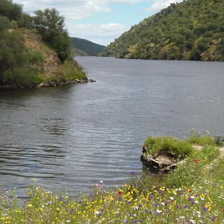 Monte Vale Mosteiro Κατάλυμα σε φάρμα