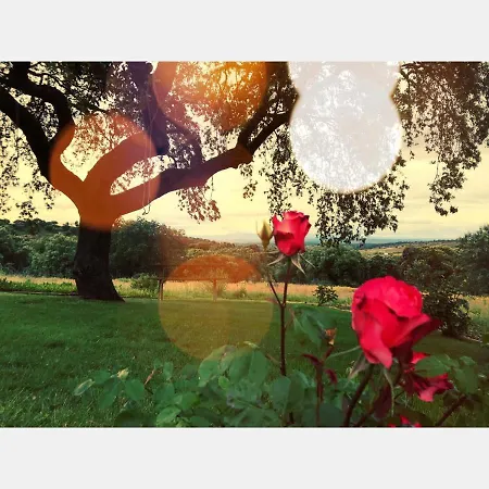 Monte Vale Mosteiro Rosmaninhal (Santarem)