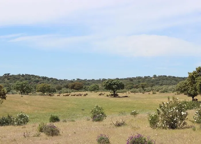 Monte Vale Mosteiro Alojamento de Turismo Rural Rosmaninhal (Santarem)
