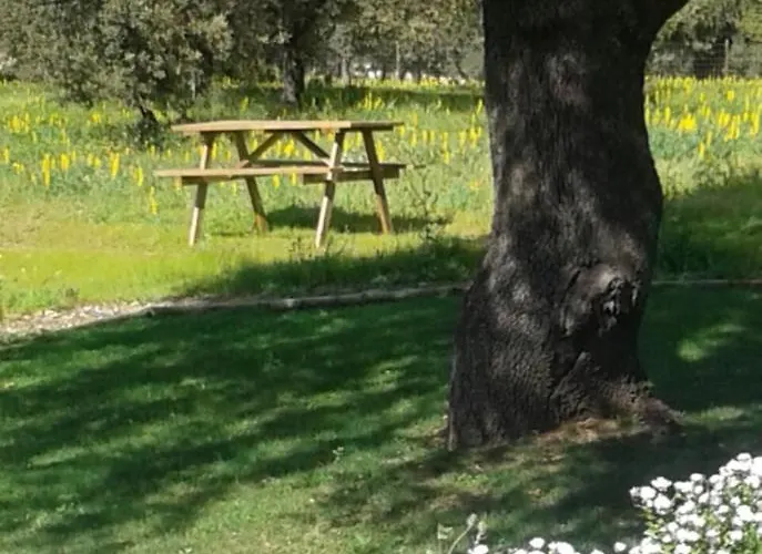 Monte Vale Mosteiro * Rosmaninhal (Santarem)