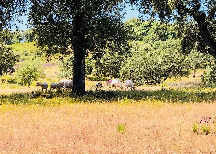 Monte Vale Mosteiro Alojamento de Turismo Rural Rosmaninhal (Santarem)