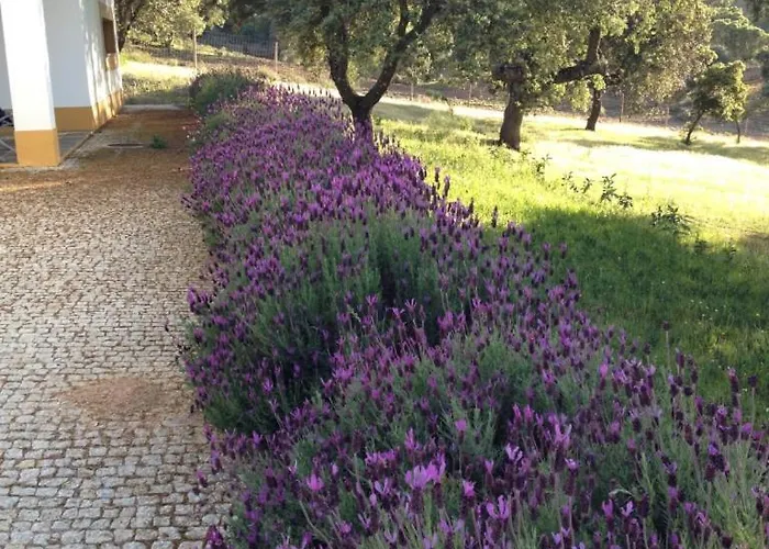 Alojamento de Turismo Rural Monte Vale Mosteiro *