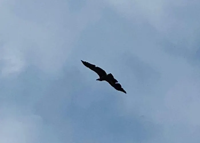 Alojamento de Turismo Rural Monte Vale Mosteiro Rosmaninhal (Santarem)