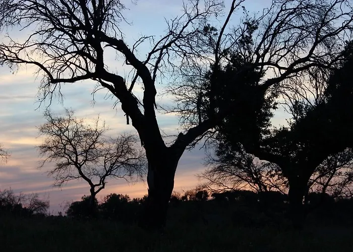 Monte Vale Mosteiro Rosmaninhal (Santarem)