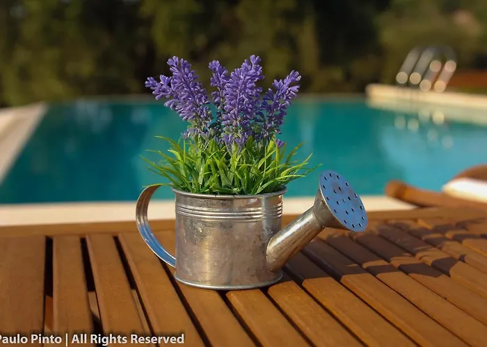 Alojamento de Turismo Rural Monte Vale Mosteiro