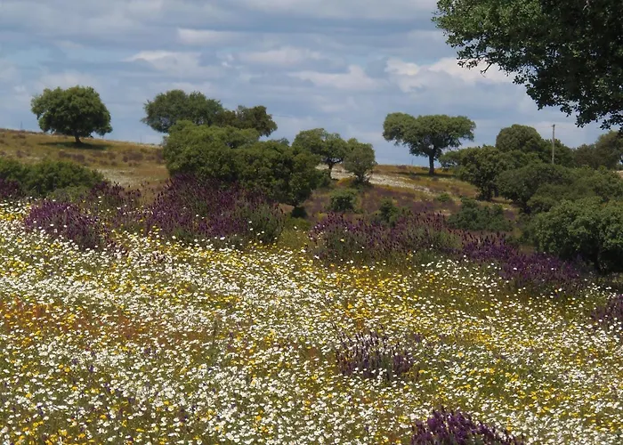 Monte Vale Mosteiro Rosmaninhal (Santarem)