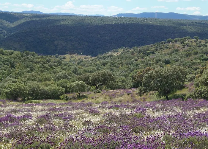 Monte Vale Mosteiro Alojamento de Turismo Rural
