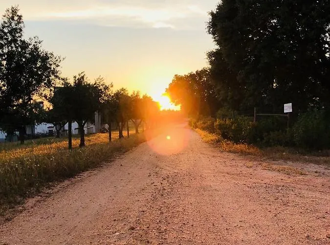 Monte Vale Mosteiro * Rosmaninhal (Santarem)