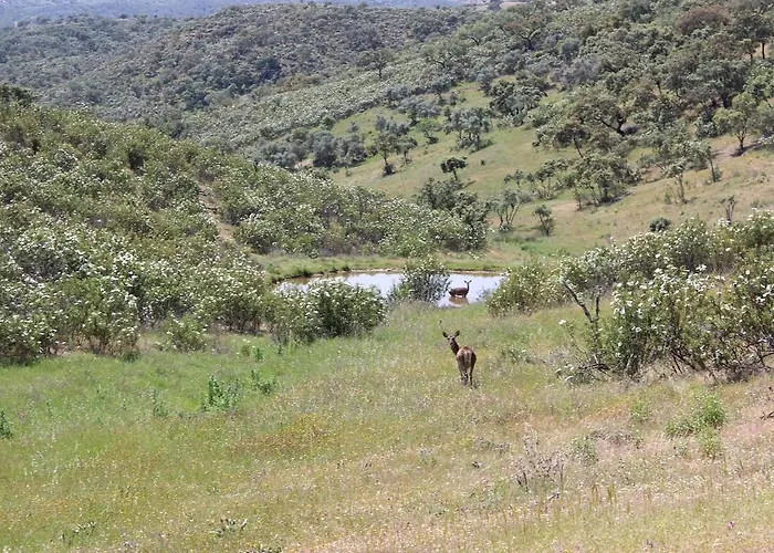 Monte Vale Mosteiro *