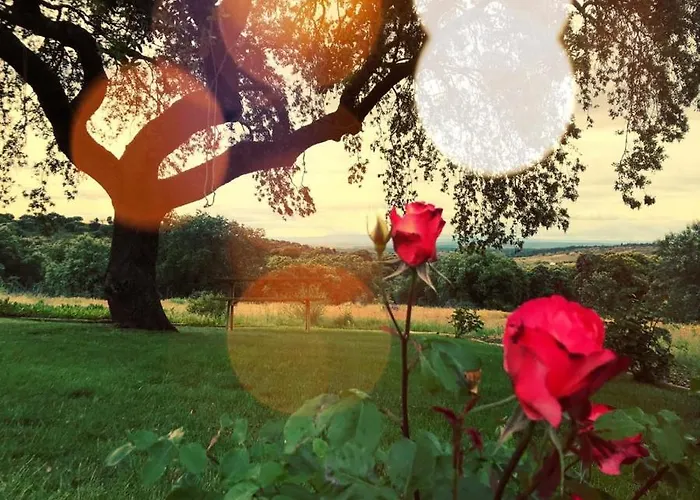 Monte Vale Mosteiro Rosmaninhal (Santarem)