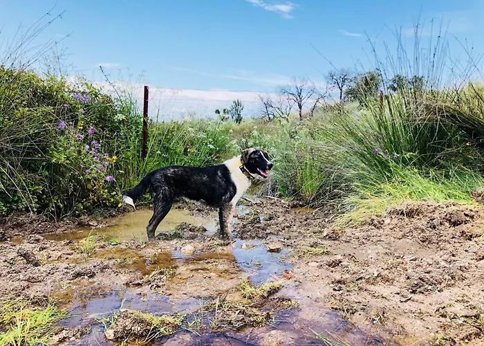 Monte Vale Mosteiro *