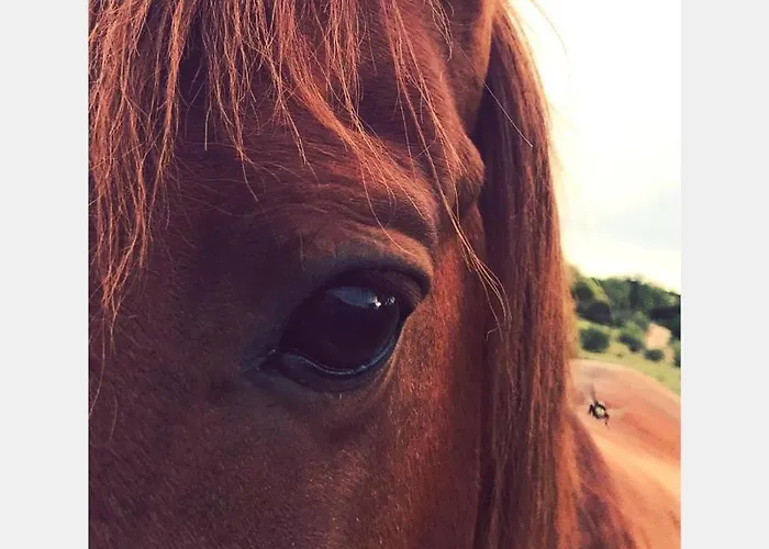 Monte Vale Mosteiro Rosmaninhal (Santarem)
